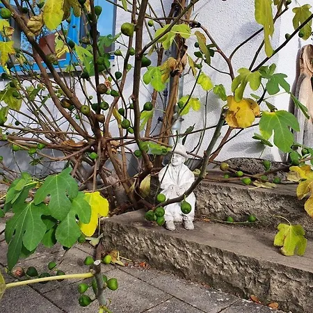 Engemann Modern Retreat