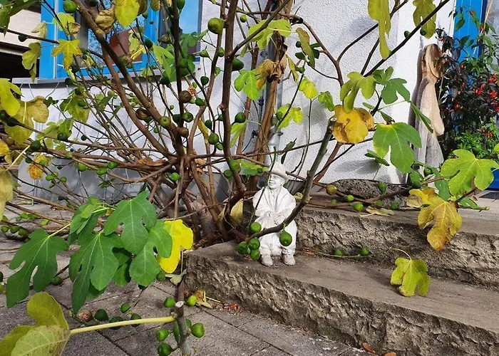 Engemann Modern Retreat